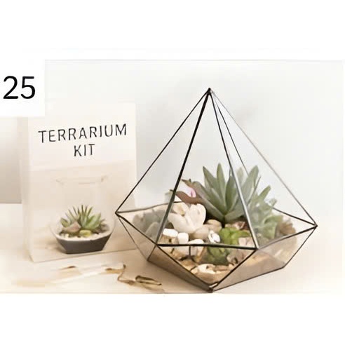 Bo kit terrarium sen da be kinh hinh hoc (2)