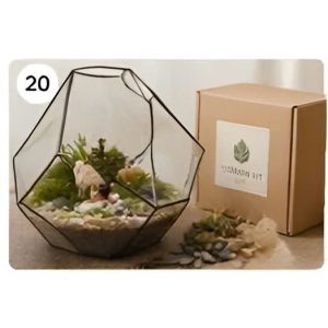 bộ kit DIY ngôi nhà tí hon