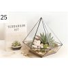 Bộ Kit Terrarium DIY Mini