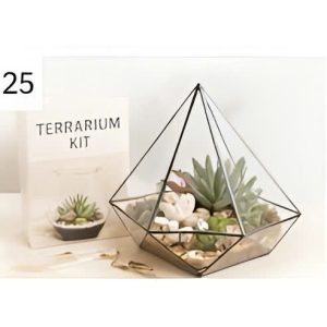 Bộ Kit Terrarium DIY Mini