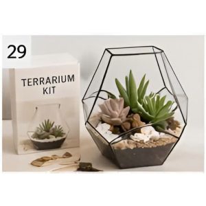 Bo kit terrarium sen da be kinh hinh hoc