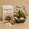 Bo kit terrarium sen da be kinh hinh hoc