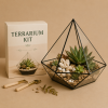 Bộ Kit Terrarium DIY Mini